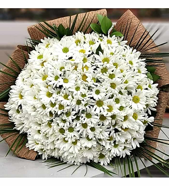 Papatya Buketi (XL)
